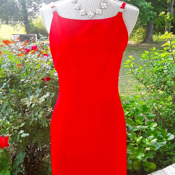 Amazing Red Dress - Picture 1 of 10